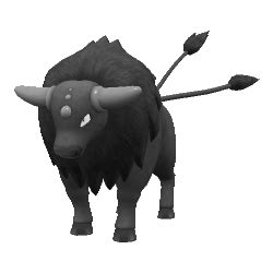 tauros serebii|pokemon tauros.
